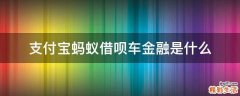 支付宝蚂蚁借呗车金融是什么