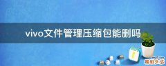 vivo文件管理压缩包能删吗
