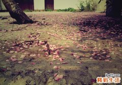 气管炎可以吃调料吗
