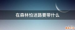 在森林怕迷路要带什么