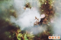 七成以上患儿都因肺炎住院