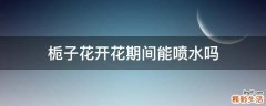 栀子花开花期间能喷水吗
