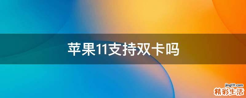 苹果11支持双卡吗