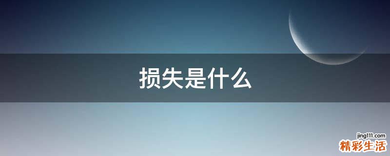 损失是什么