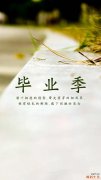 【如何摆脱手机综合症】手机综合症的危害以及解决方法