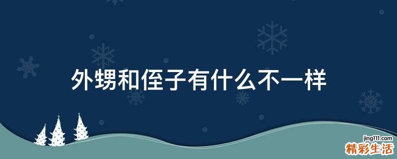 外甥和侄子有什么不一样