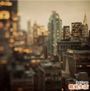 菊花心
