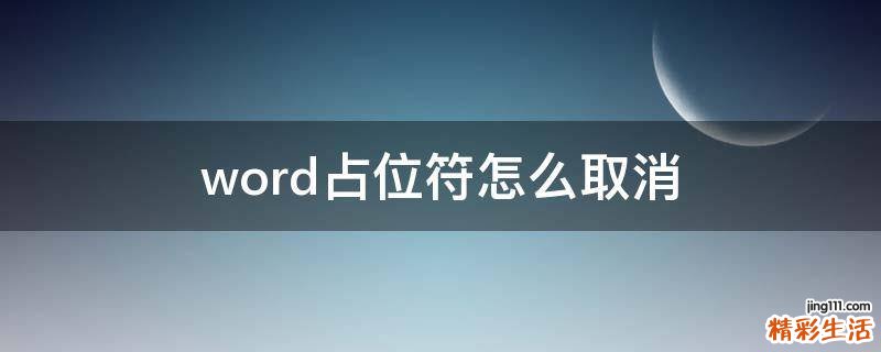 word占位符怎么取消