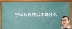 宁取从良妓后面是什么