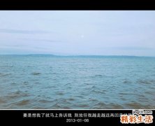4 鹅蛋壳