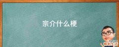 宗介什么梗