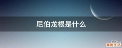 尼伯龙根是什么