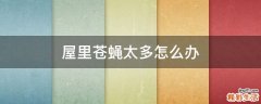 屋里苍蝇太多怎么办