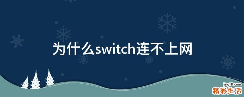 为什么switch连不上网