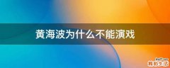 黄海波为什么不能演戏