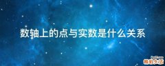 数轴上的点与实数是什么关系