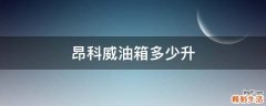 昂科威油箱多少升