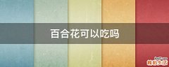 百合花可以吃吗