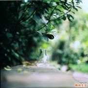 白米粥真的有营养吗？