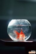 5 中秋吃螃蟹的八大禁忌
