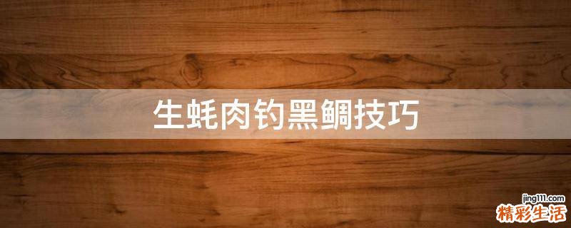 生蚝肉钓黑鲷技巧