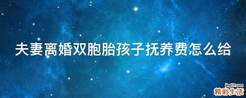 夫妻离婚双胞胎孩子抚养费怎么给