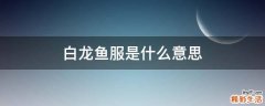 白龙鱼服是什么意思