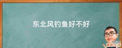 东北风钓鱼好不好