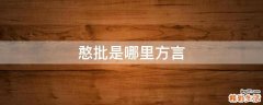 憨批是哪里方言