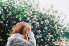 川木香