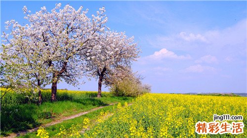 中耳炎鼓膜穿孔怎么冶疗