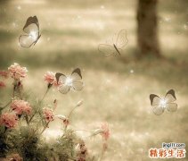 三大进补误区对胃造成莫大伤害