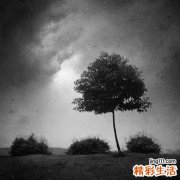 儿童扁桃体炎吃什么食物好