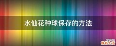 水仙花种球保存的方法