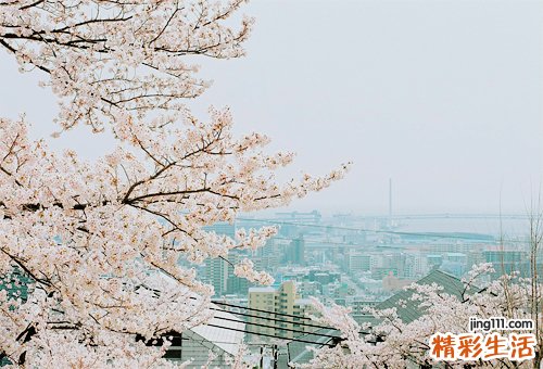 患有肝硬化有何表现