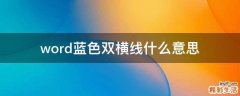 word藍(lán)色雙橫線什么意思