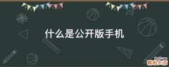 什么是公开版手机