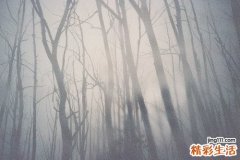 7 地桃花