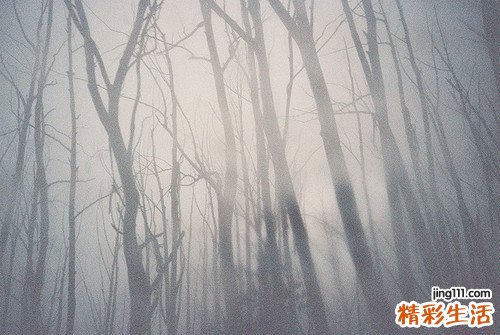 7 地桃花