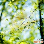 牙病容易累及心肾等器官