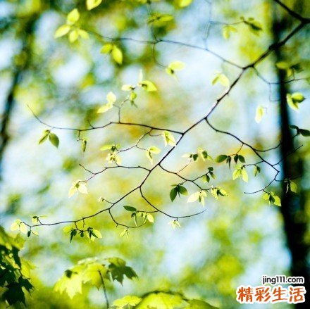 牙病容易累及心肾等器官