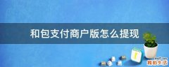 和包支付商户版怎么提现