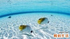 夏天老人吃什么防中暑