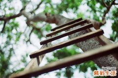 夏季如何消暑清热