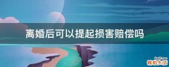 离婚后可以提起损害赔偿吗