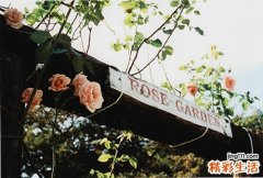 3 识别：最易掺毒的15种食品