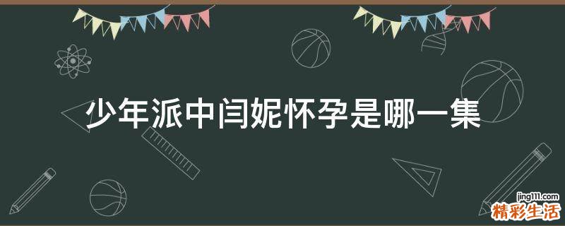 少年派中闫妮怀孕是哪一集