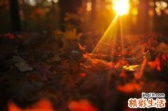 【如何从电影看职场启示】九部经典电影中的职场启示