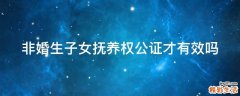非婚生子女抚养权公证才有效吗