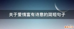 关于爱情富有诗意的简短句子
